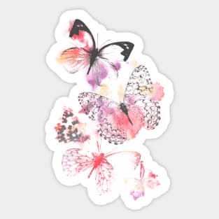 Butterflies Sticker